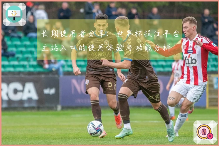 长期使用者分享：世界杯投注平台主站入口的使用体验与功能分析