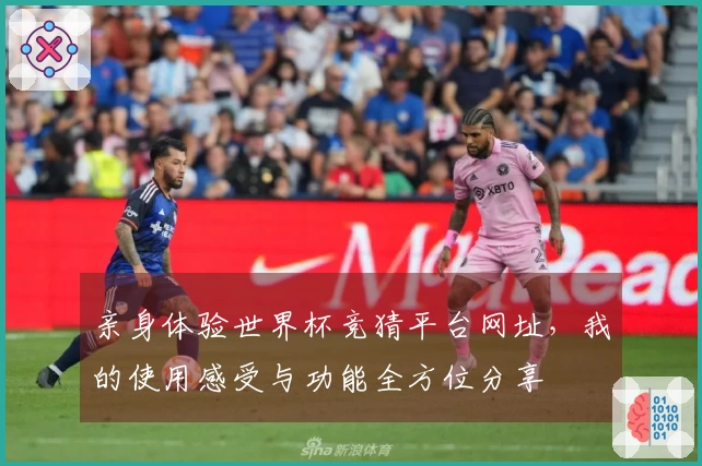 亲身体验世界杯竞猜平台网址，我的使用感受与功能全方位分享